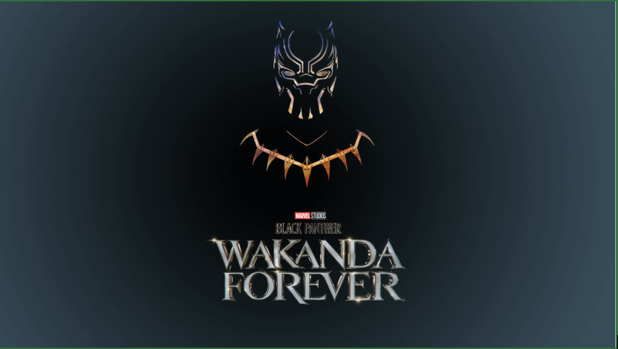 Black Panther: Wakanda Forever — Marvel Reveals Title of Anticipated Sequel