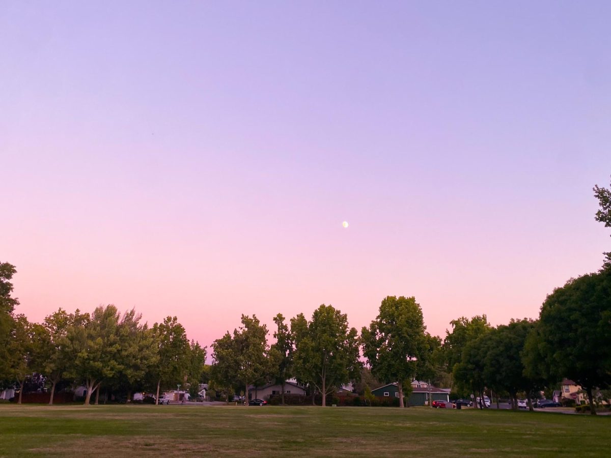 Pleasanton's various parks provides beautiful scenery for a picnic.
