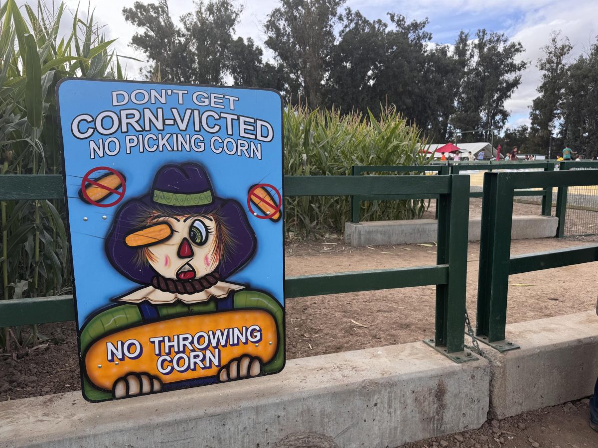 A corny poster warns visitors adventuring into the corn maze.