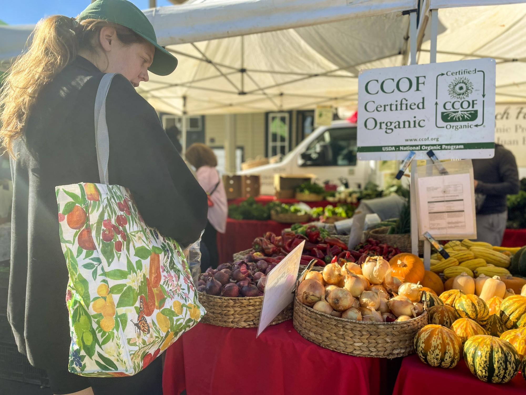 Bouquet of photos of fall farmer's market