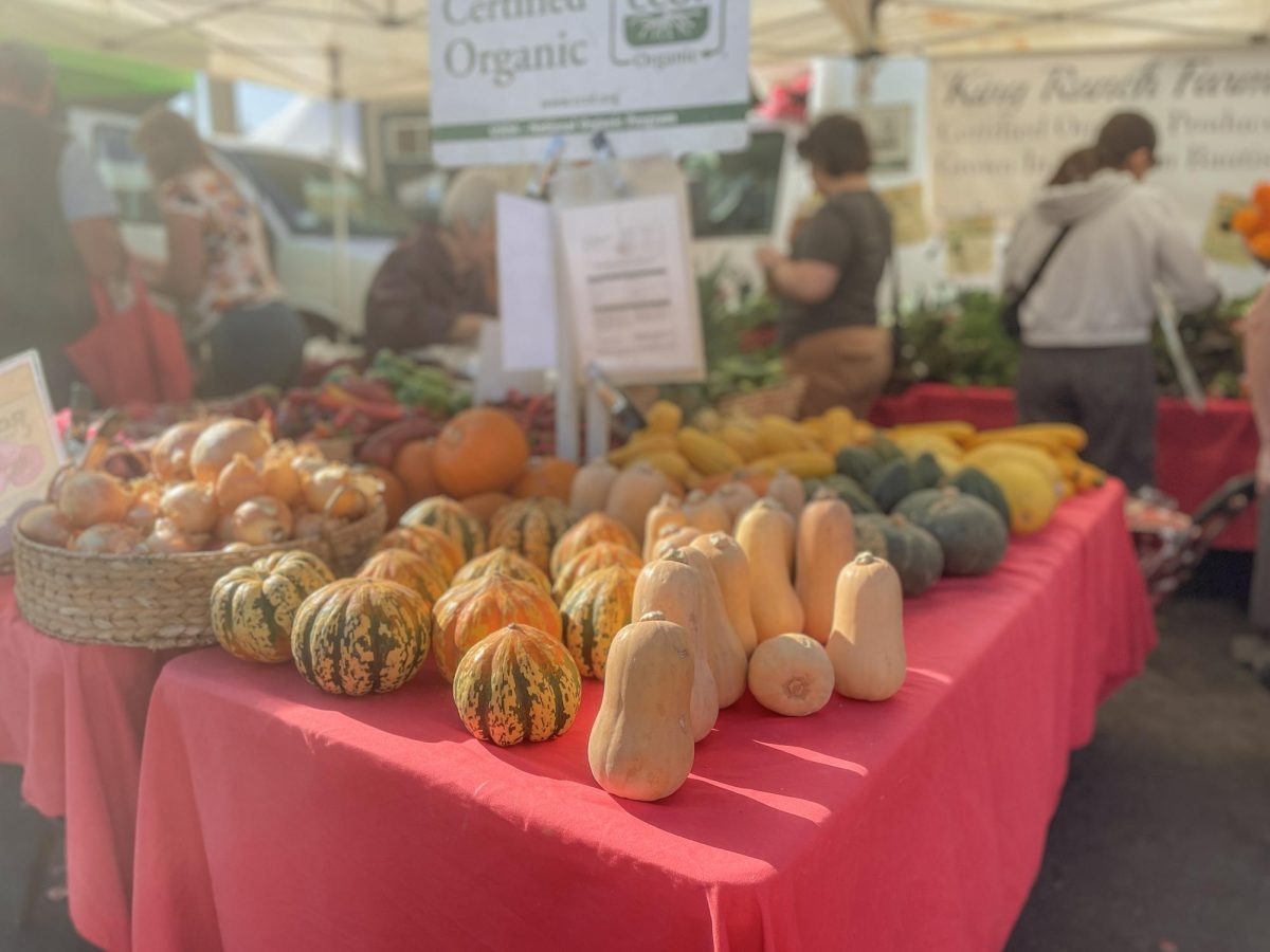 Numerous booths showcase their diverse squash collection, reflecting their versatility and place as a staple of the season.