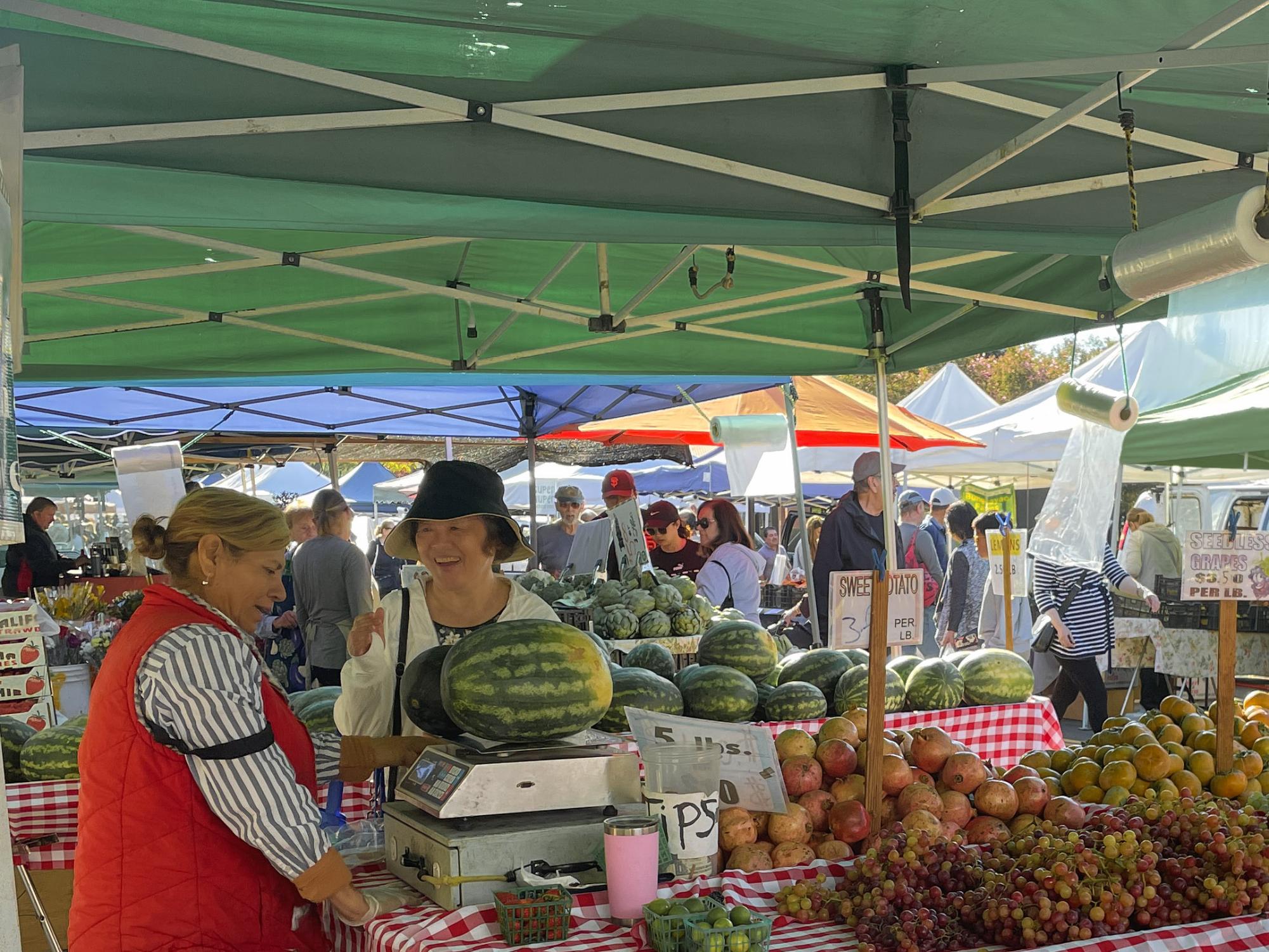 Bouquet of photos of fall farmer's market