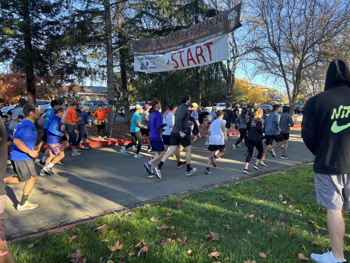 The timer starts as the run commences and the runners head off.