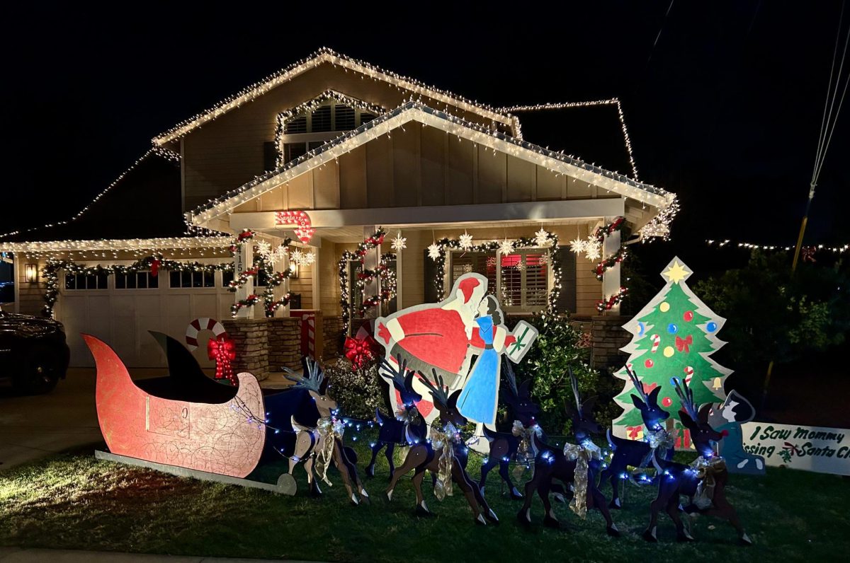 Dawn Chatham's House, featuring her sleigh and reindeer, courtesy of a Jim's Country Restaurant waitress (Photo courtesy of Robin Cruz).