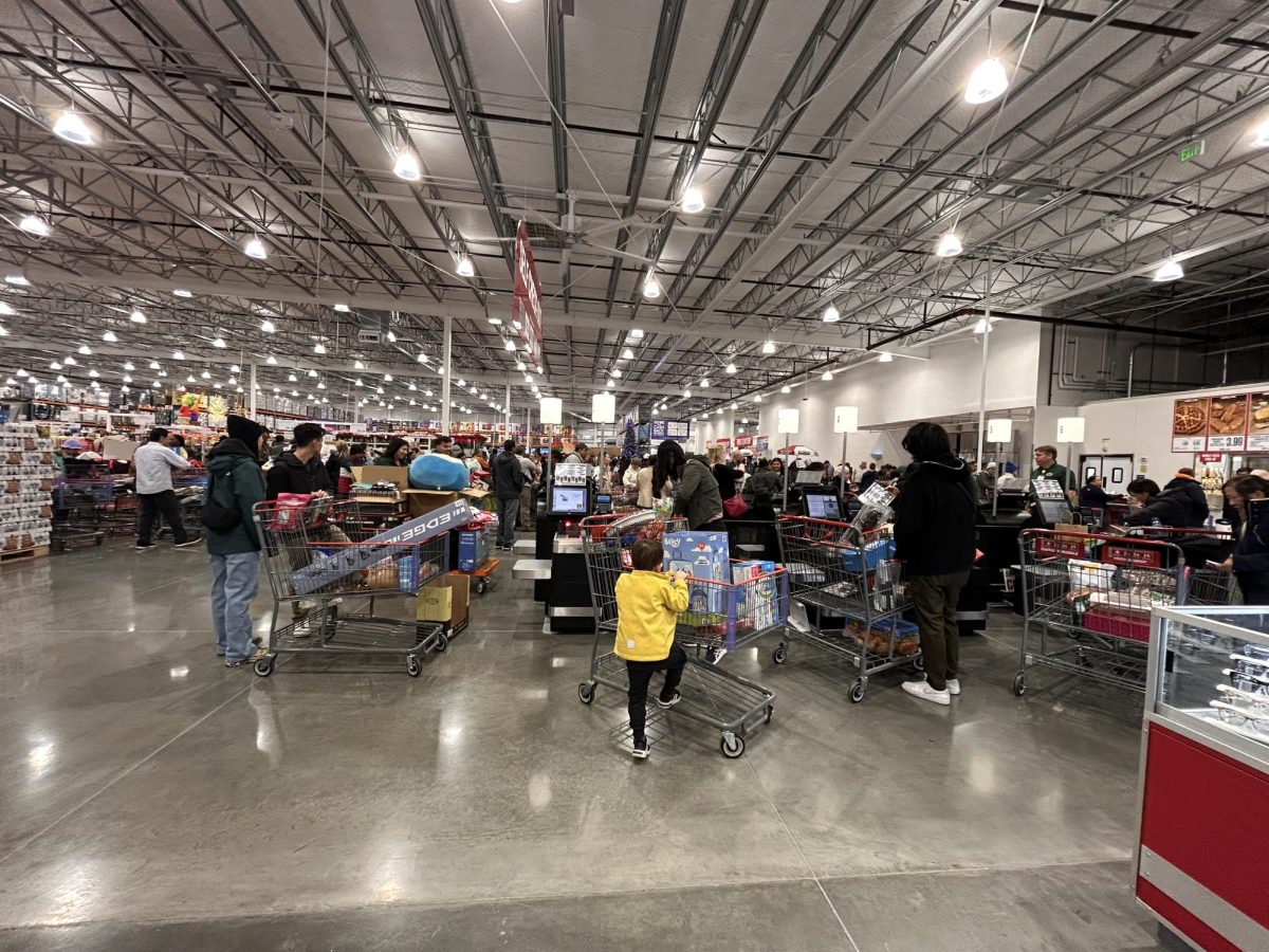 At the cash registers, it is piled up with tons of customers waiting to purchase their items.