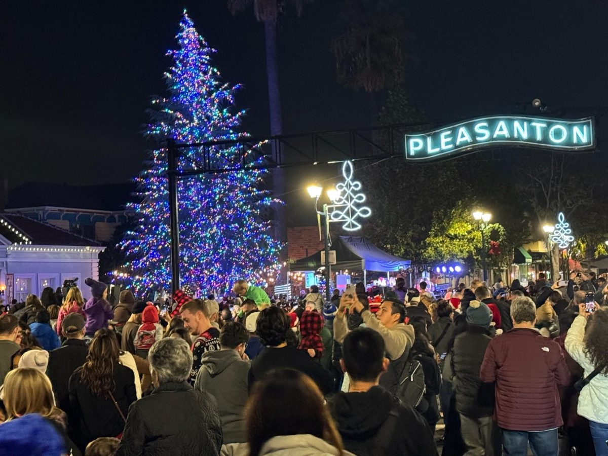 At the end of the parade, the crowd gathers around the old oak tree for the traditional tree lighting. The announcers count down from ten and the crowd chants along. 3,2,1 the Christmas tree lights up! The crowd stares at the tall tree in awe, admiring the pretty lights.