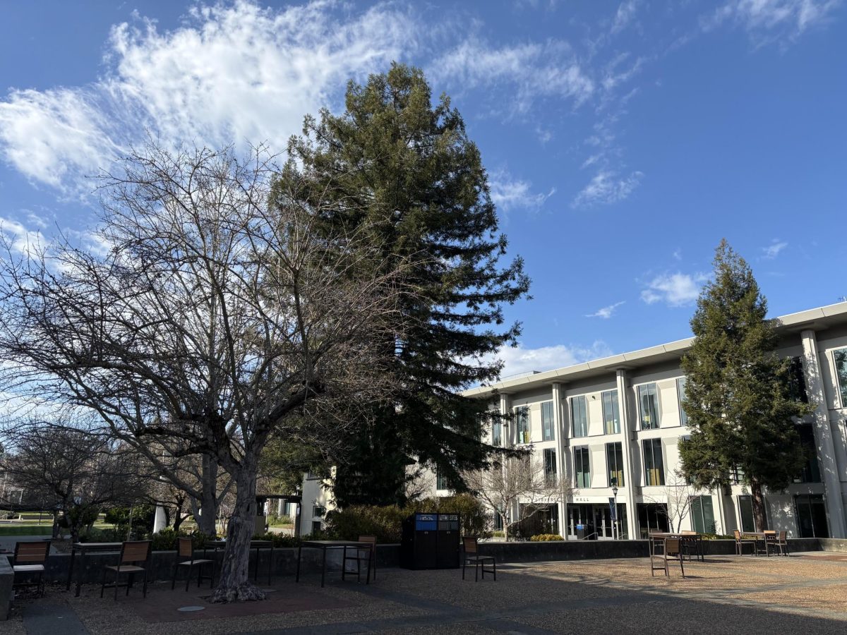 Sonoma State University's Campus a popular area for students to hang out now empty.