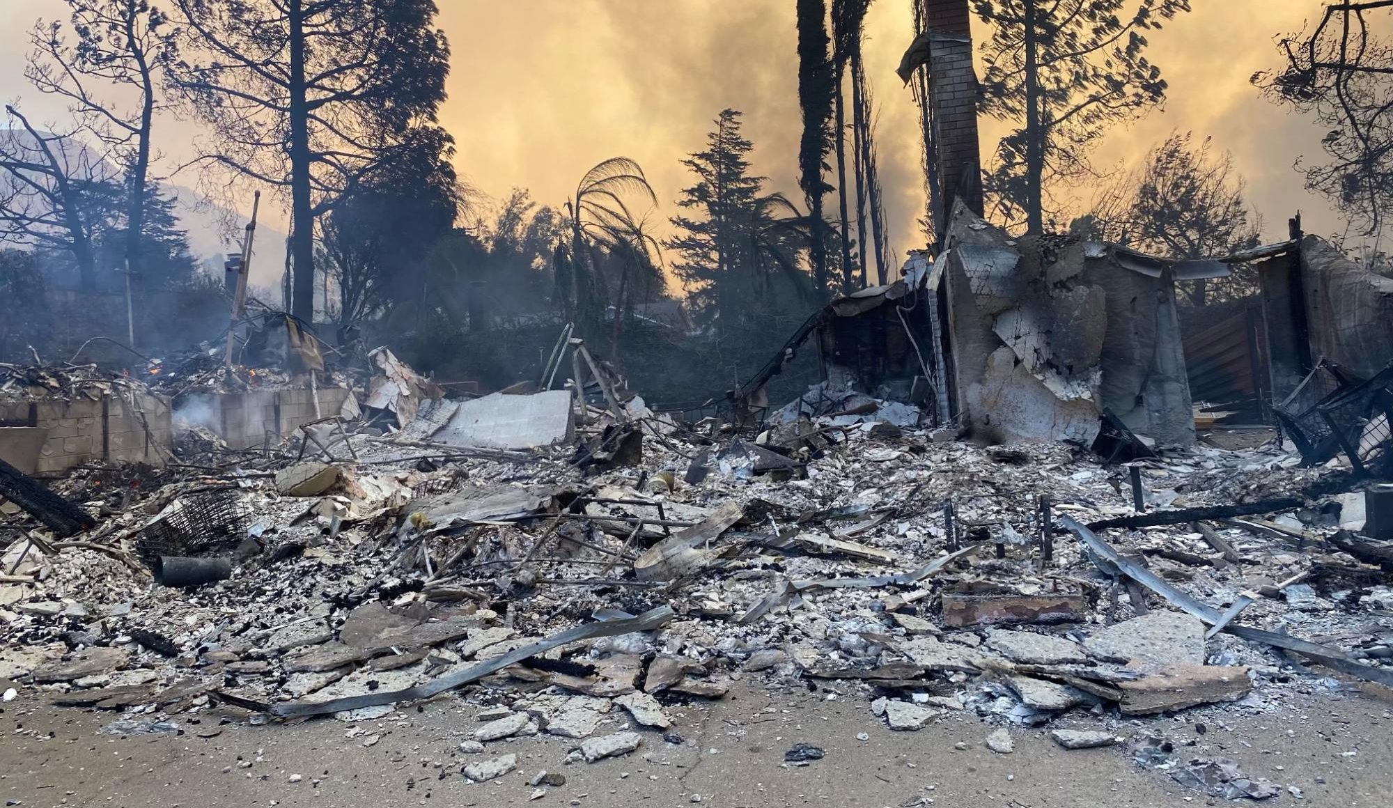 Due to the fires in Palisades, tons of people have lost their homes. In some cases, families have lost their loved ones as well as their belongings.